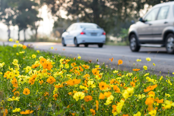 Spring Maintenance Checklist for Your Vehicle