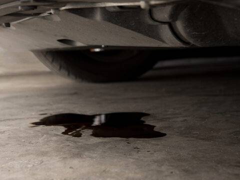 Reasons Behind Crank Seal Oil Leaks in Minis