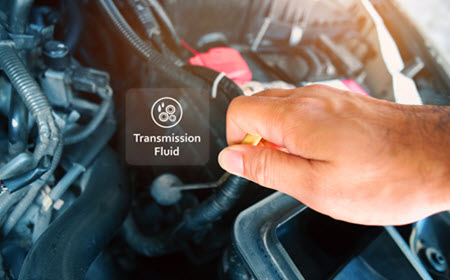 Volvo Transmission Fluid Check