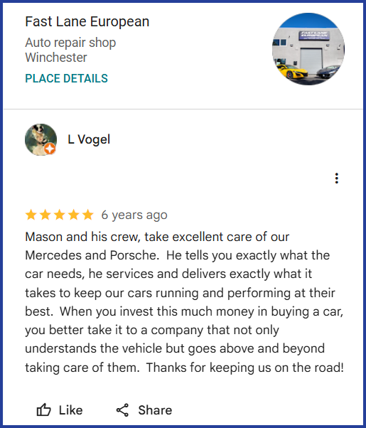 Review of Fast Lane European By L Vogel